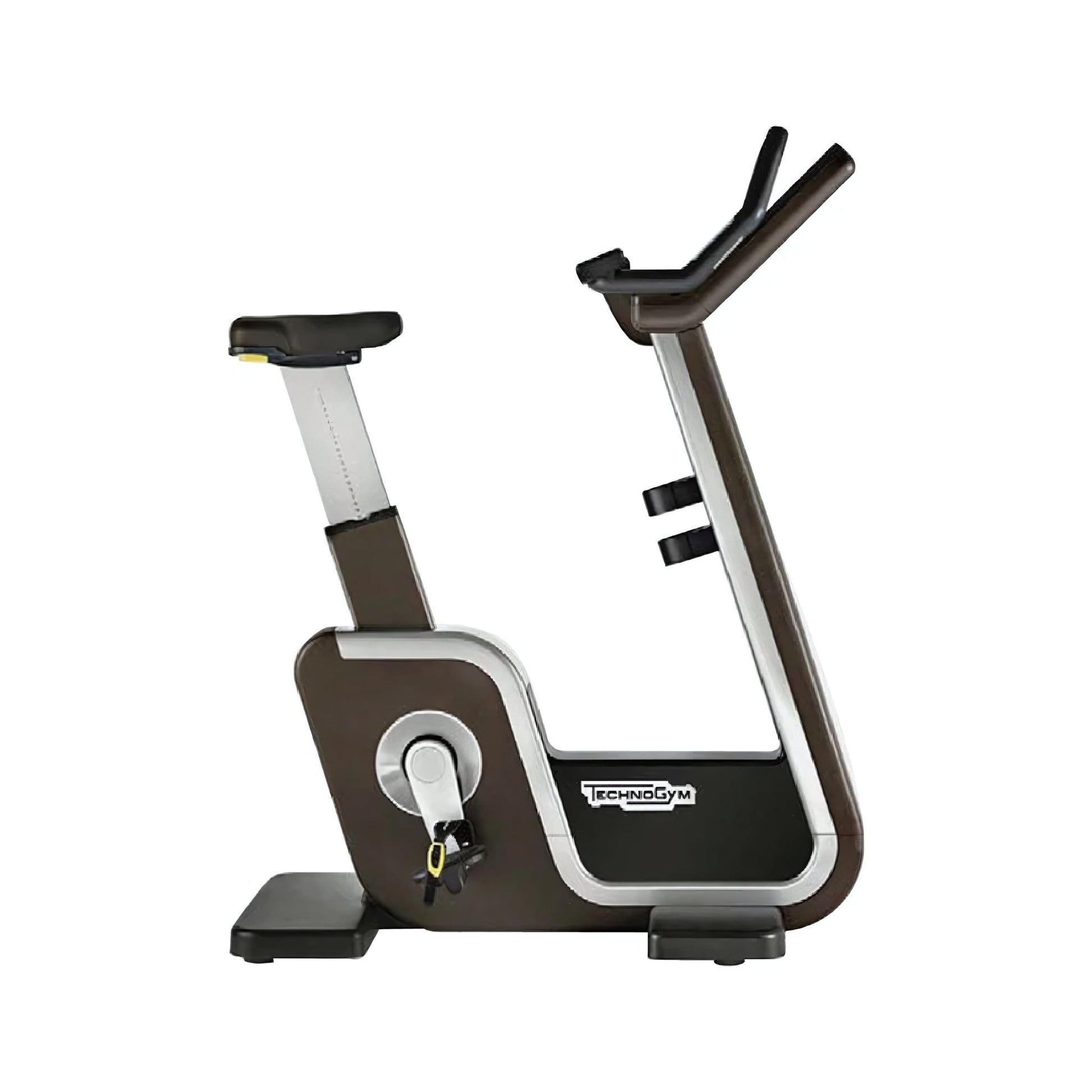 Technogym Bike Artis