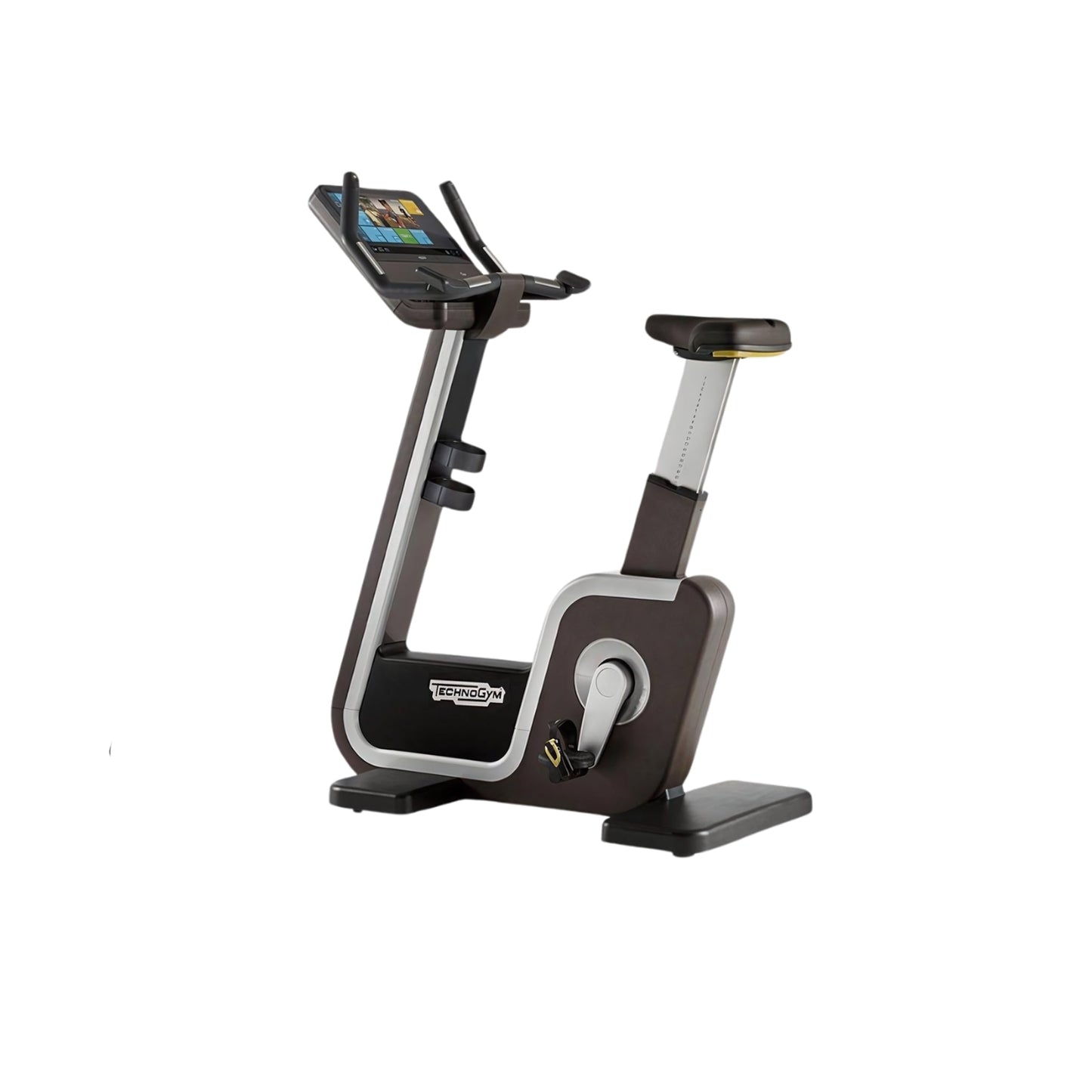 Technogym Bike Artis