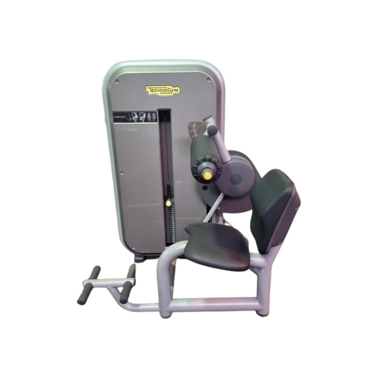 Technogym Selection Lower Back Stack Loaded